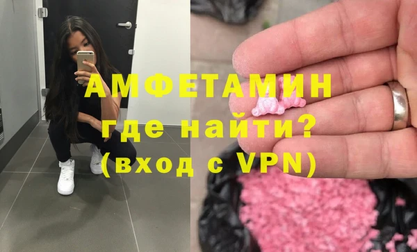 индика Каменногорск