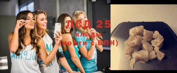 индика Каменногорск