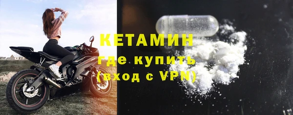 индика Каменногорск