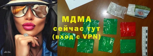 индика Каменногорск