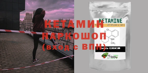 индика Каменногорск