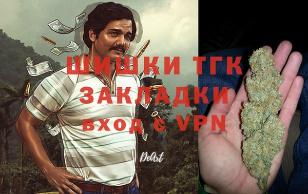 a pvp Каменка