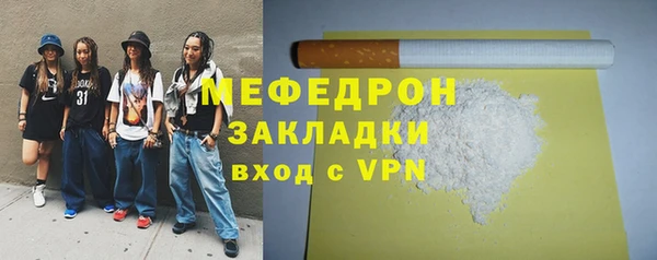 индика Каменногорск