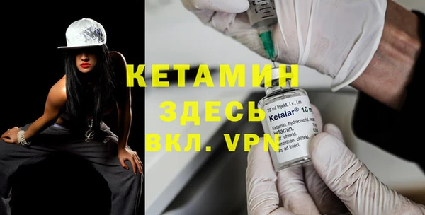 индика Каменногорск