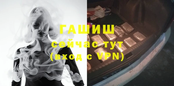 индика Каменногорск