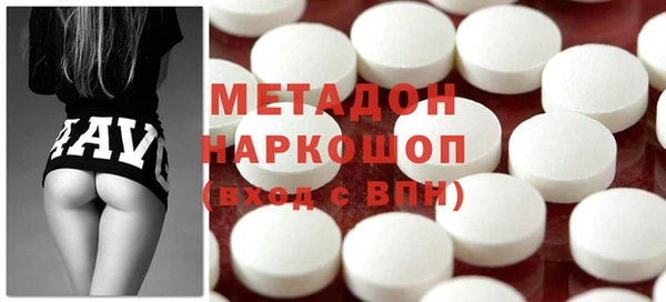 индика Каменногорск