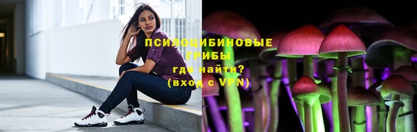 a pvp Каменка
