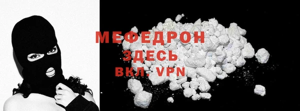 индика Каменногорск