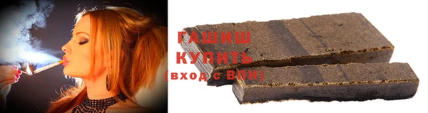 индика Каменногорск