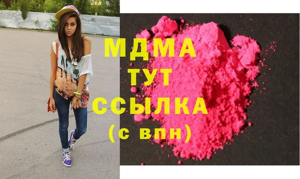 индика Каменногорск