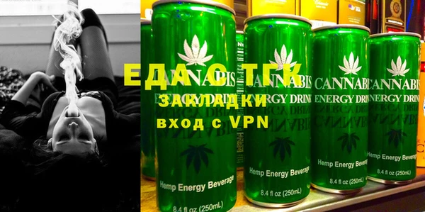 индика Каменногорск