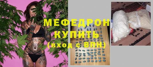 индика Каменногорск