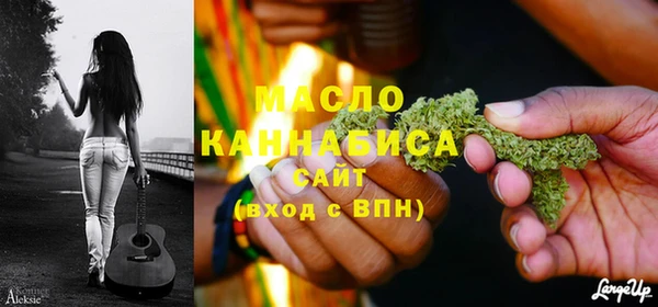 индика Каменногорск
