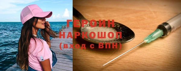 индика Каменногорск