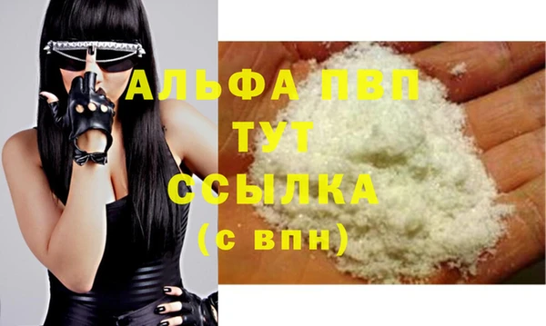 индика Каменногорск