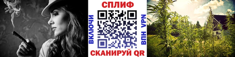 Купить  Зубцов  Каннабис SATIVA & INDICA 